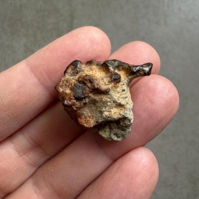 NWA 15717 ung achondrite