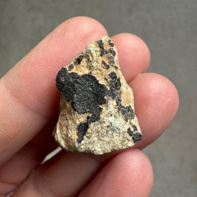 NWA 15717 ung achondrite