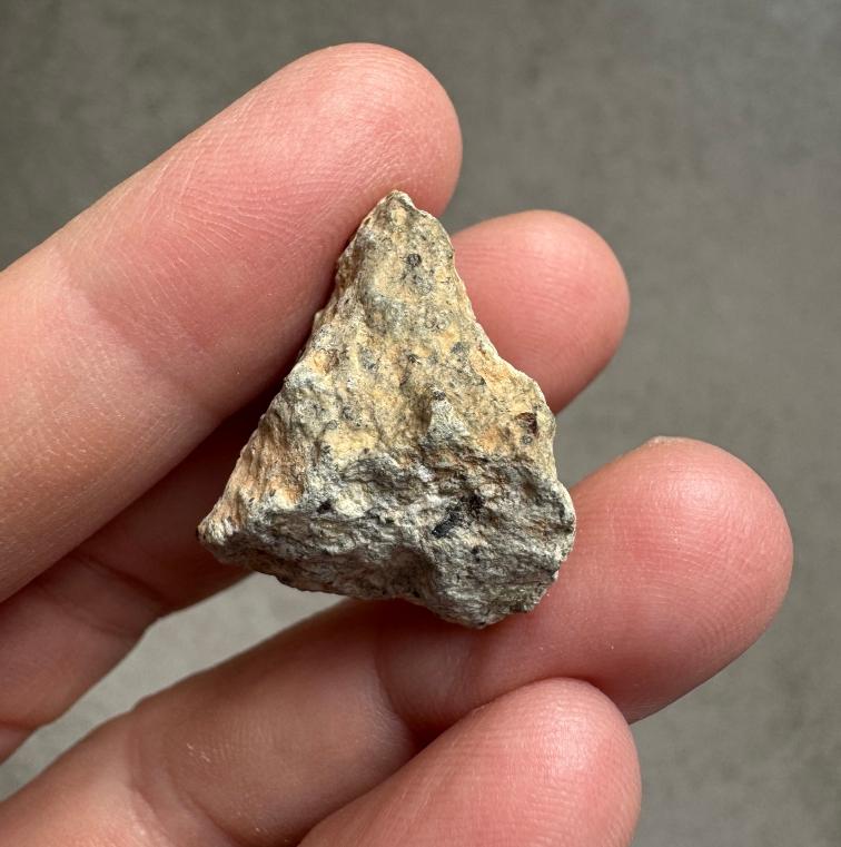 NWA 15717 ung achondrite