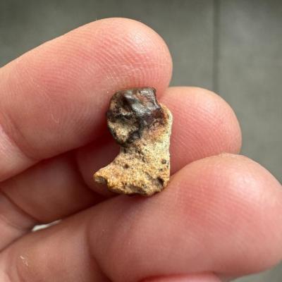 NWA 15717 ung achondrite