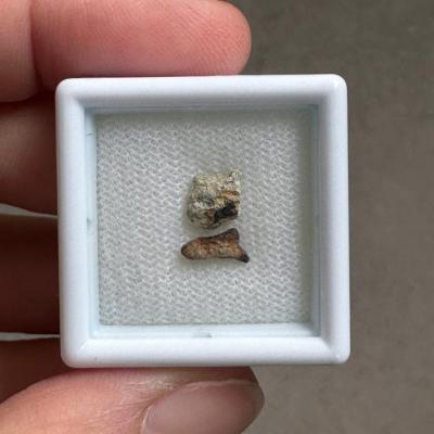 NWA 15717 ung achondrite