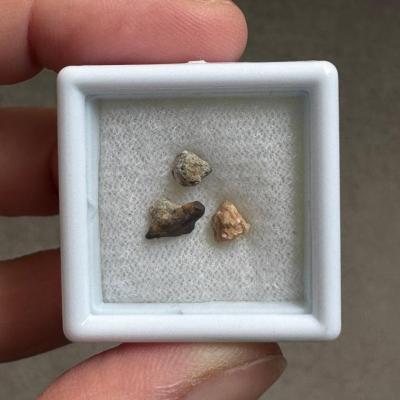 NWA 15717 ung achondrite