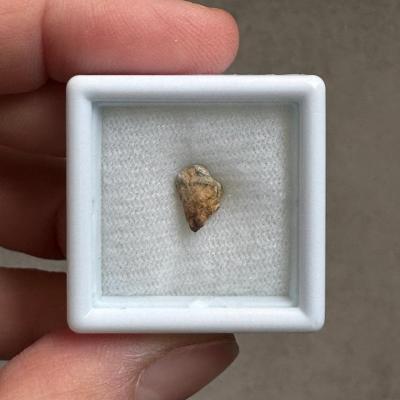 NWA 15717 ung achondrite
