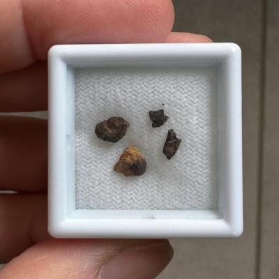 NWA 15717 ung achondrite