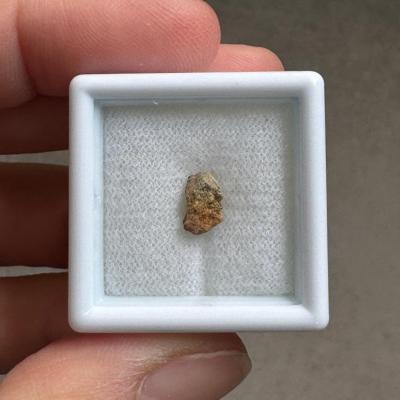 NWA 15717 ung achondrite