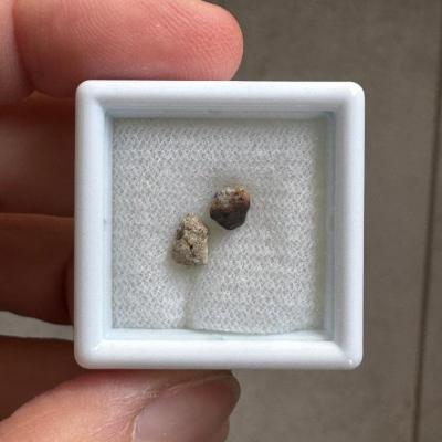 NWA 15717 ung achondrite