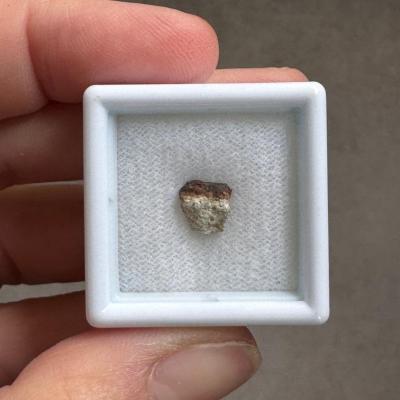 NWA 15717 ung achondrite