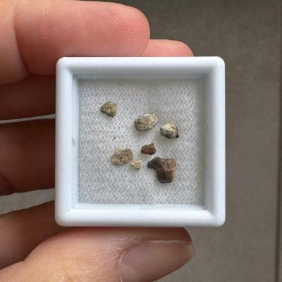 NWA 15717 ung achondrite