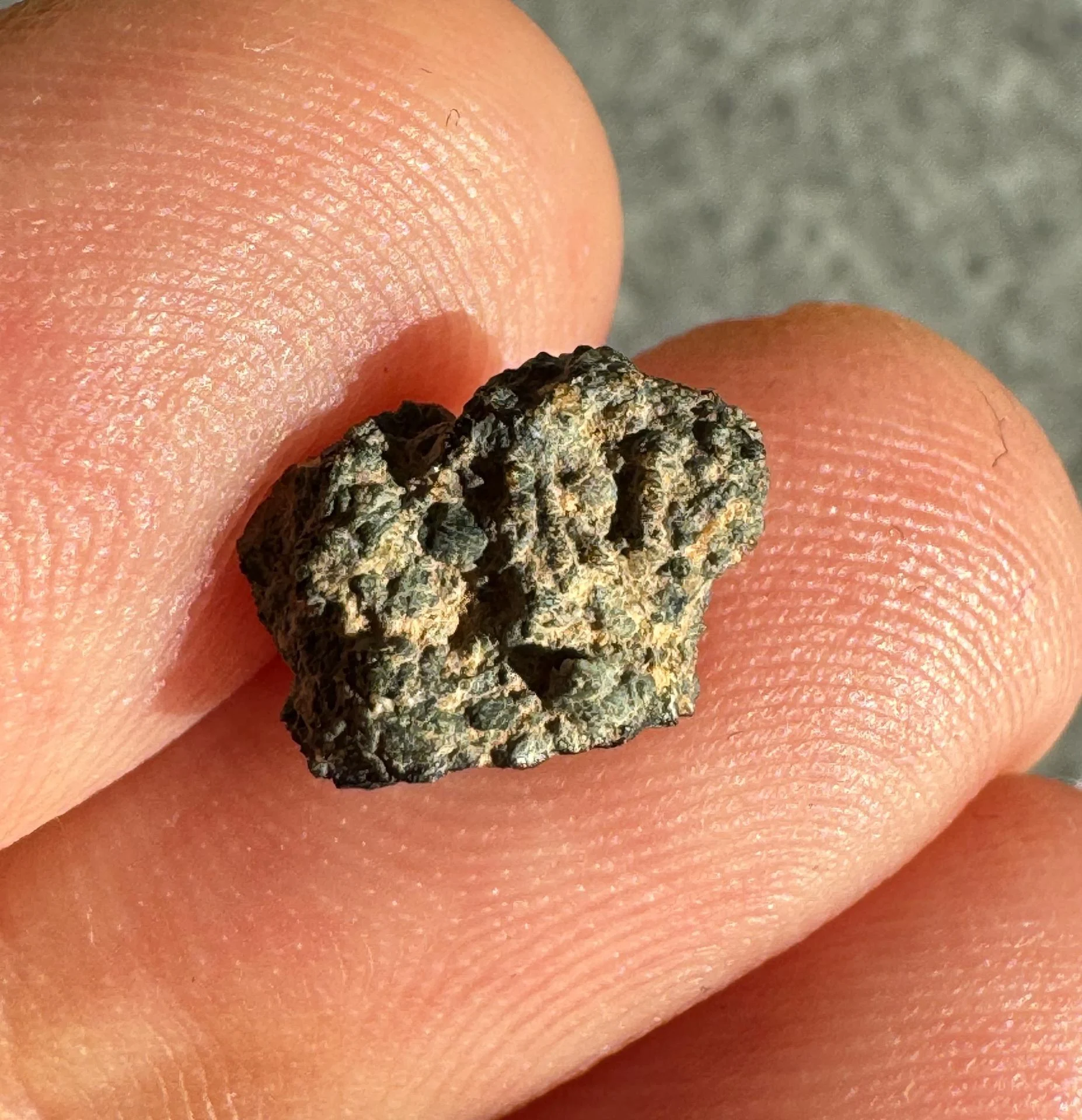 NWA 15364 nakhlite