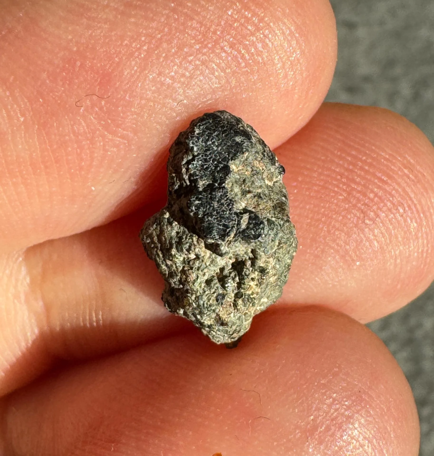 NWA 15364 nakhlite