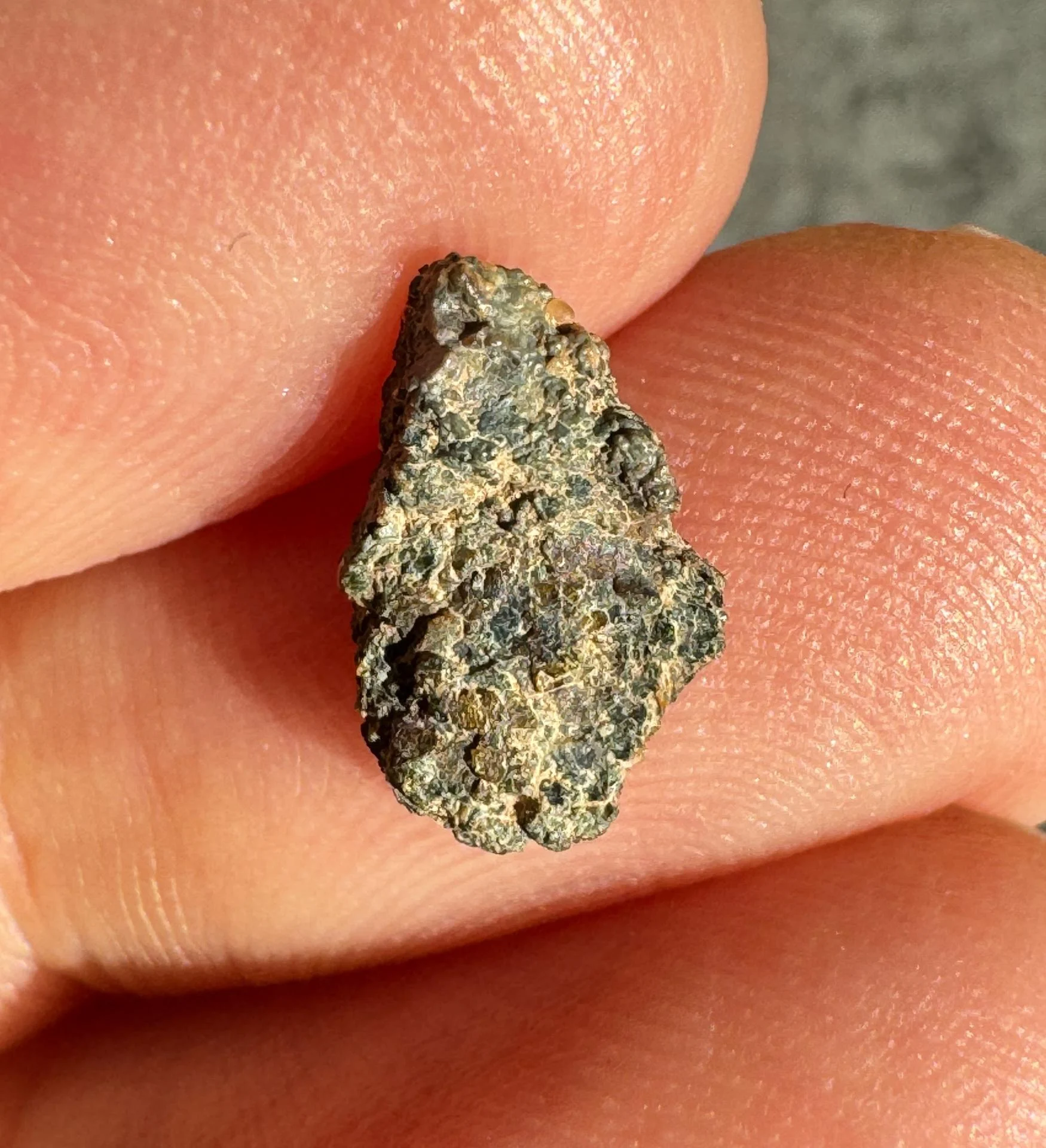 NWA 15364 nakhlite