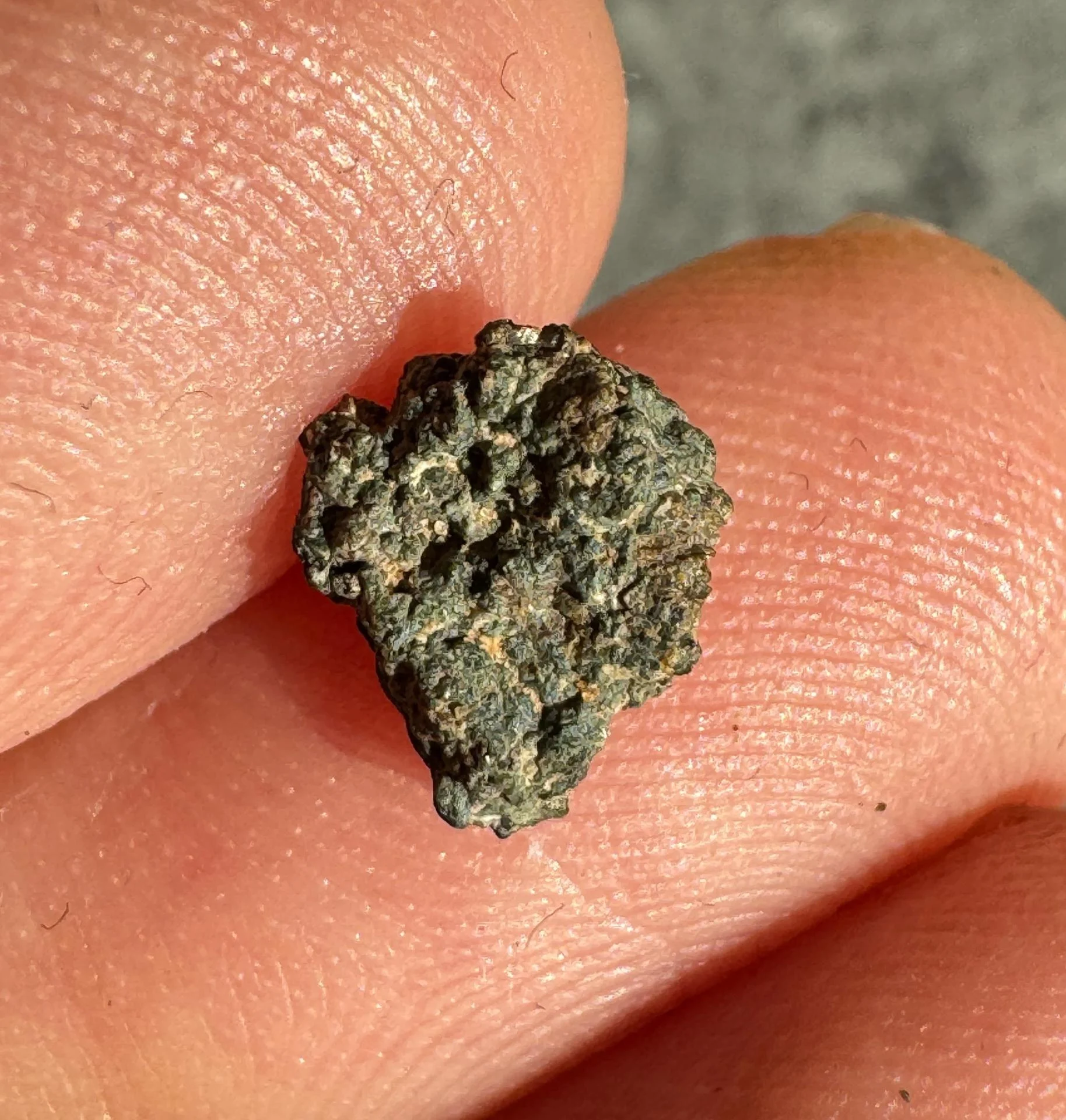 NWA 15364 nakhlite