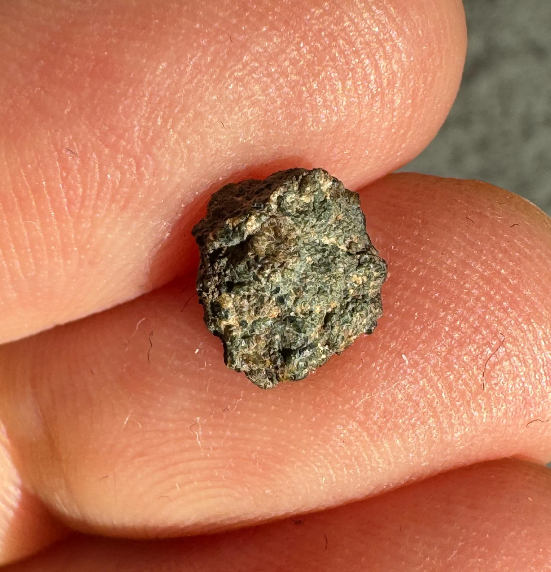 NWA 15364 nakhlite