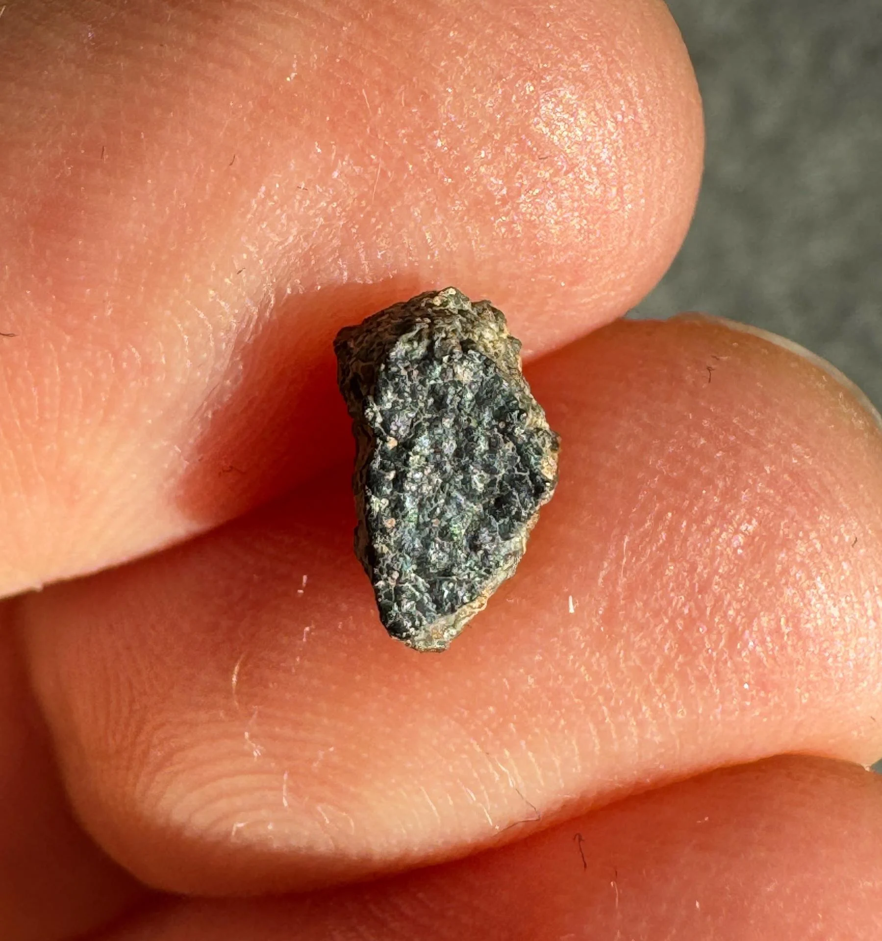 NWA 15364 nakhlite