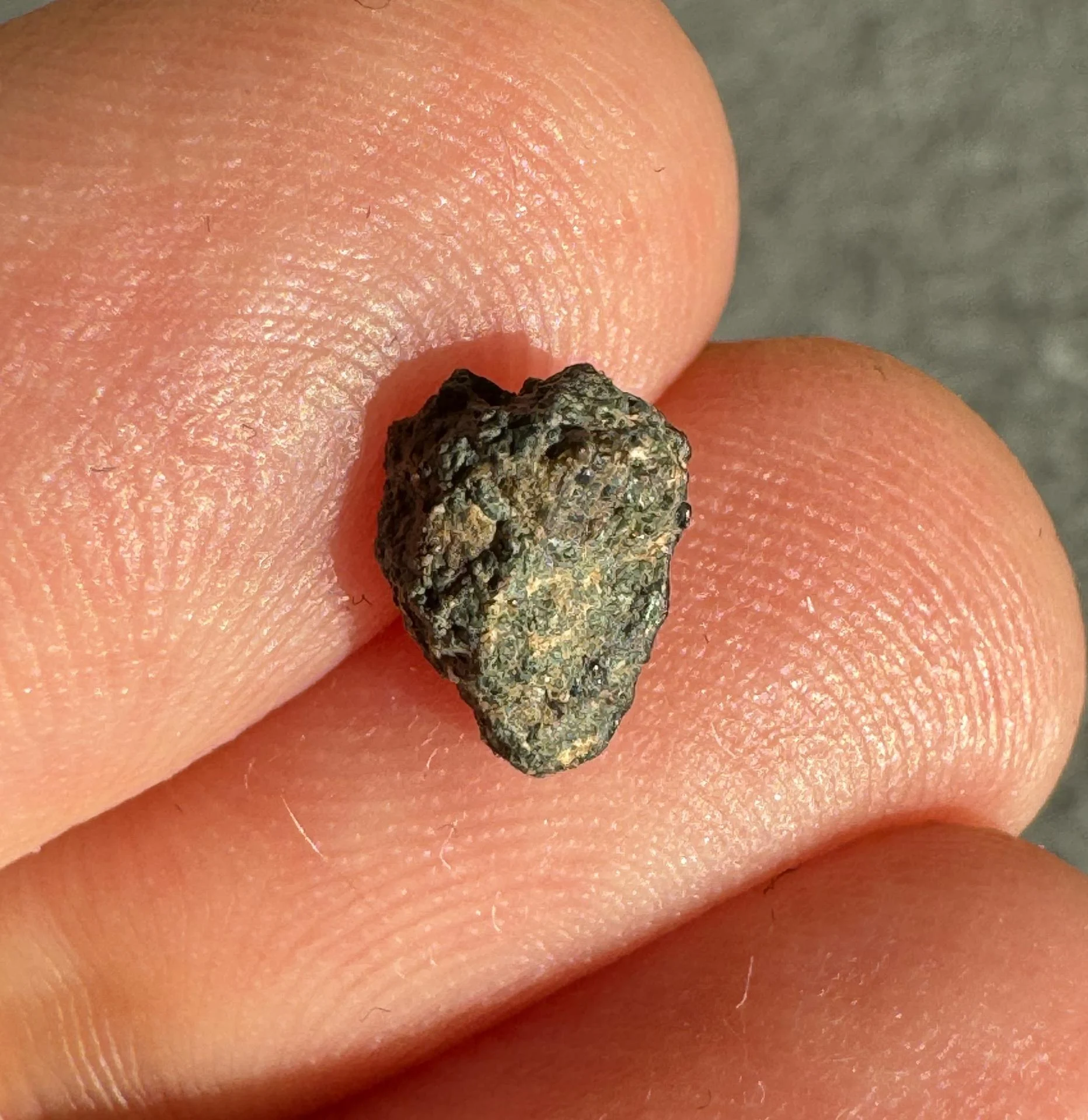 NWA 15364 nakhlite