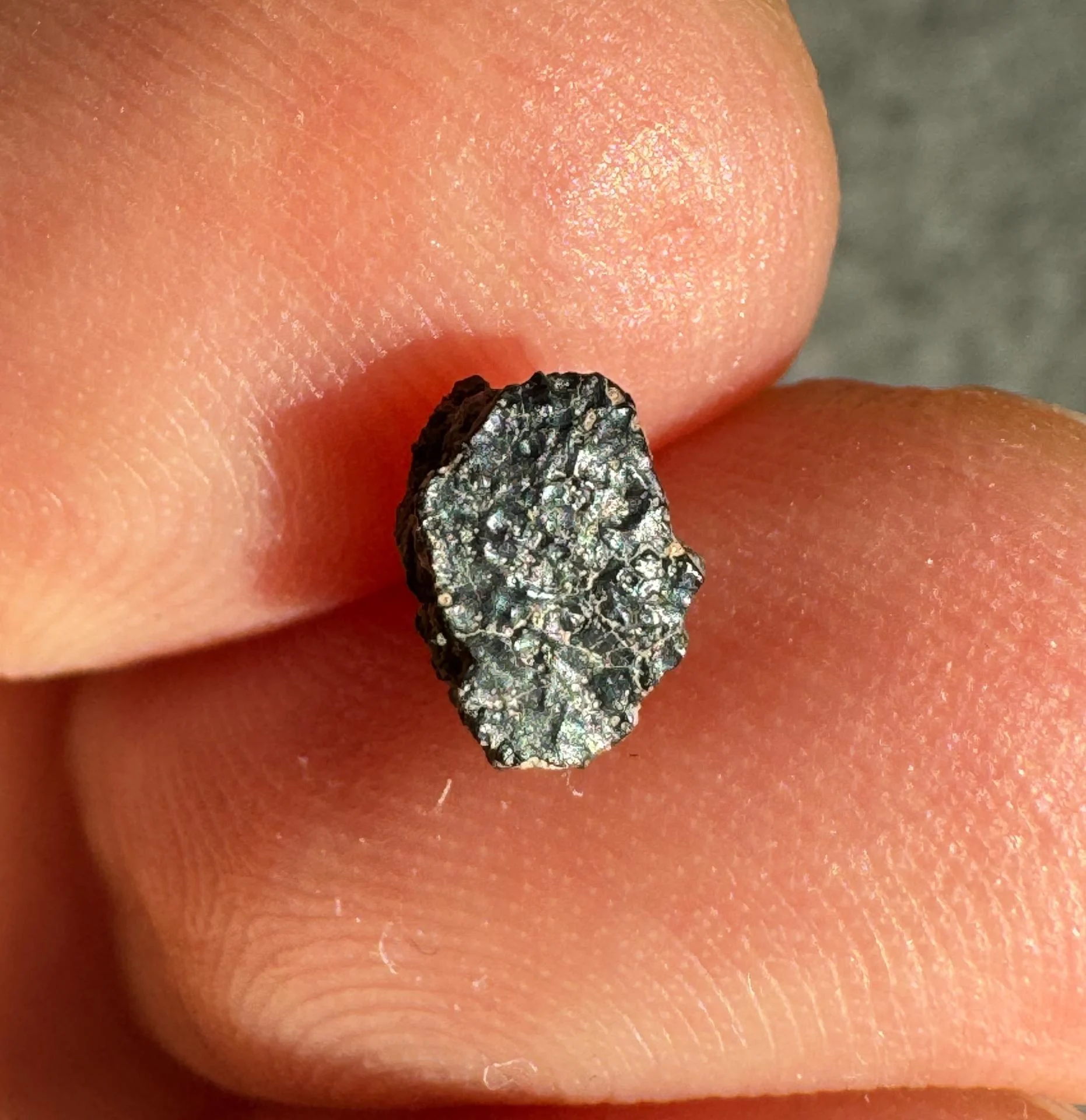 NWA 15364 nakhlite