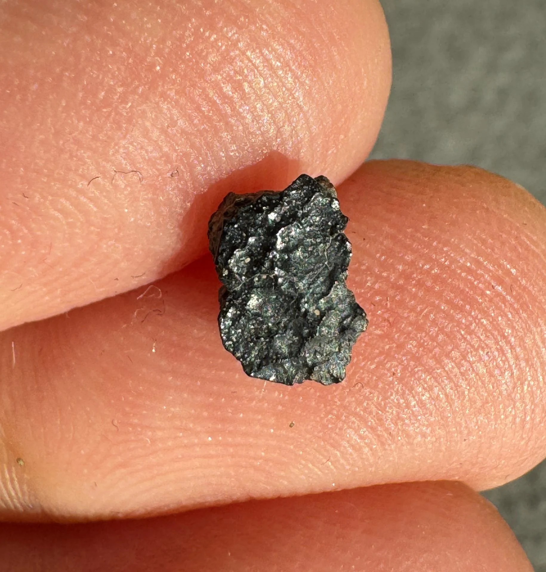 NWA 15364 nakhlite