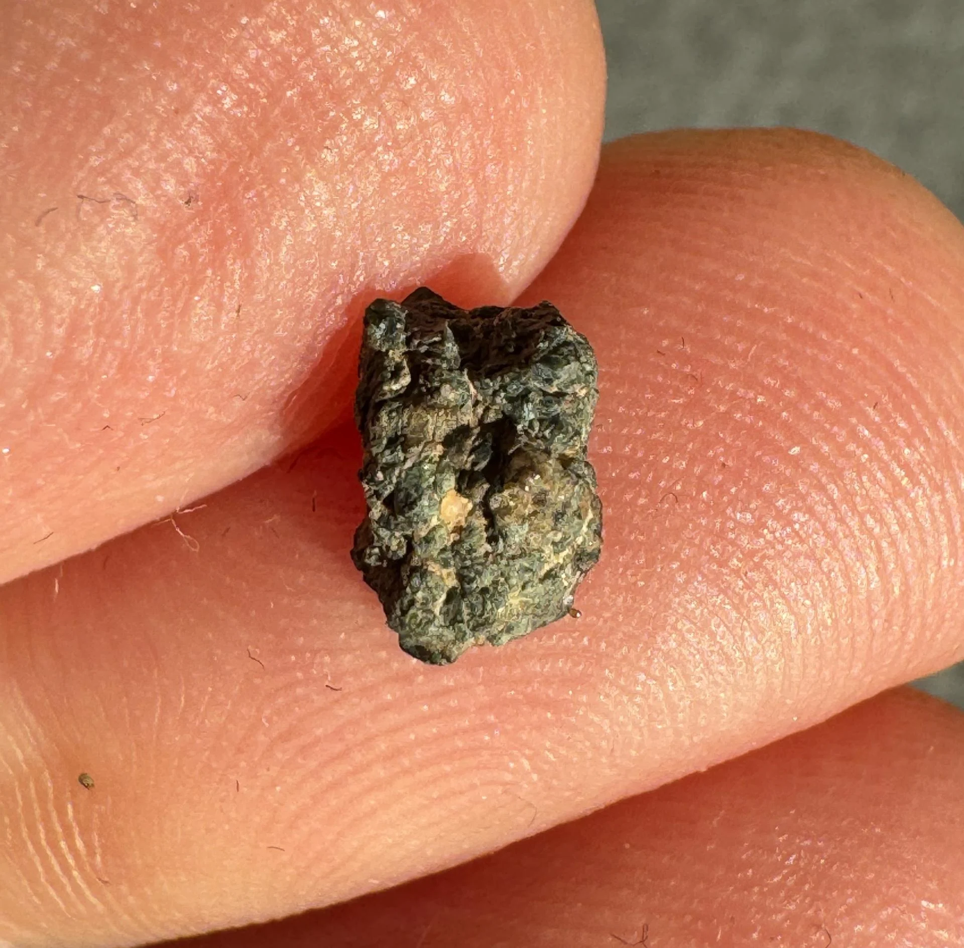 NWA 15364 nakhlite